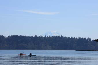 Kayaking Nisqually Delta with Mount Rainier in Background